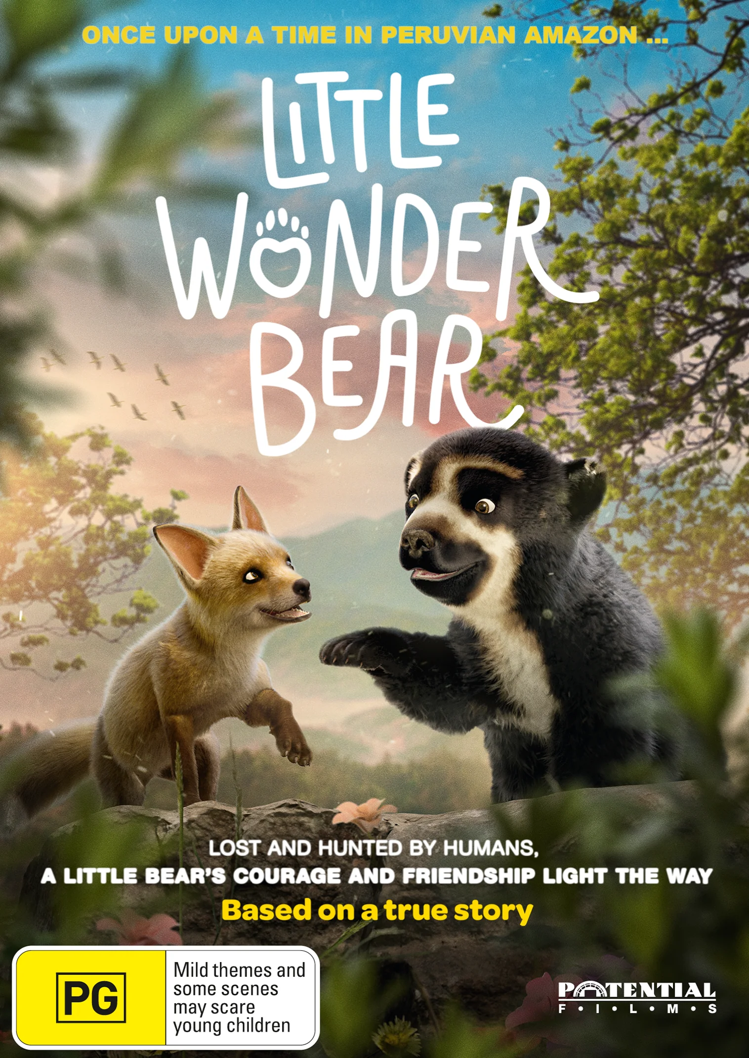 LITTLE WONDER BEAR