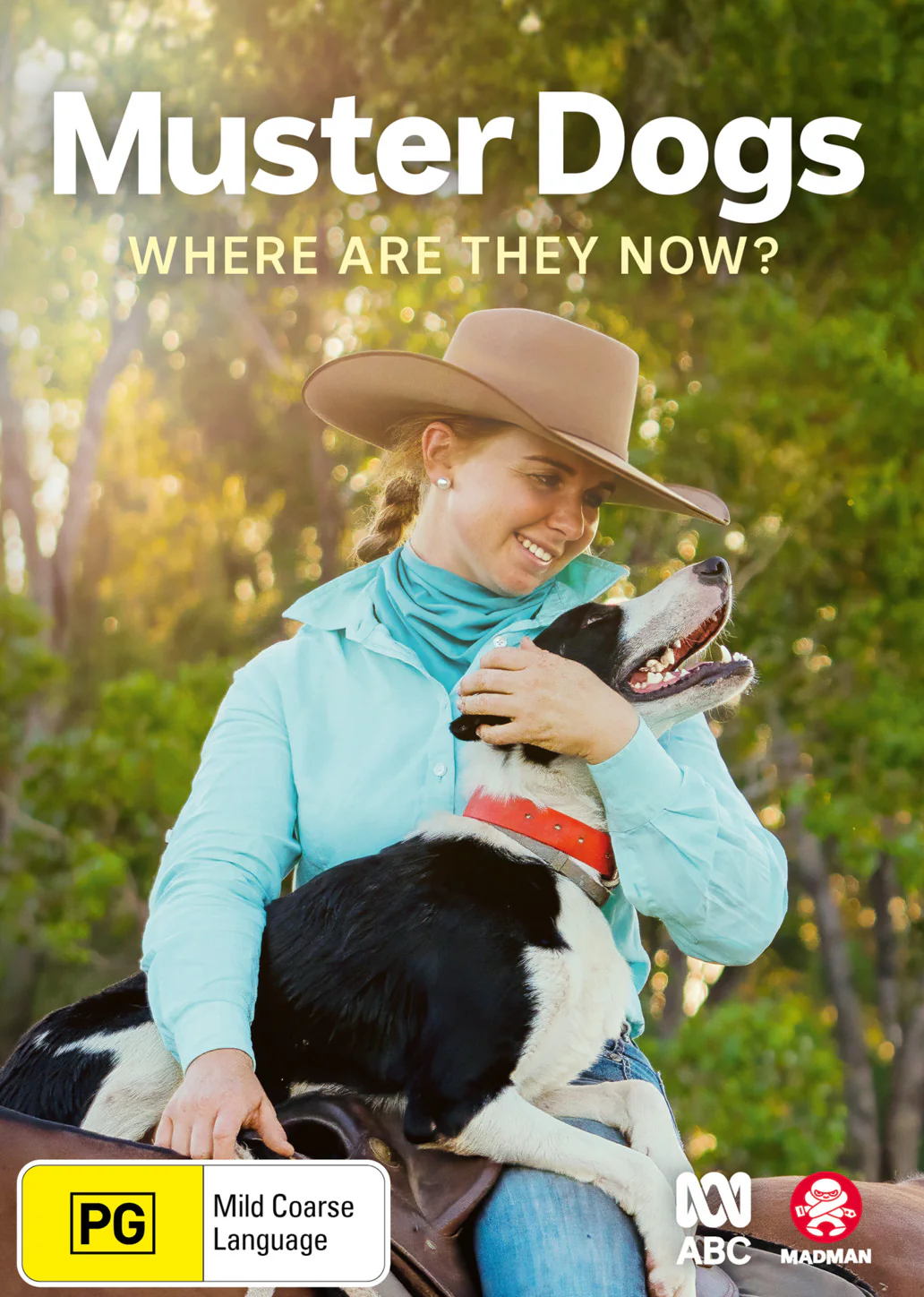 MUSTER DOGS WHERE ARE THEY NOW
