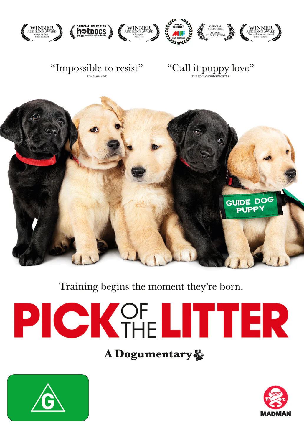 PICK OF THE LITTER